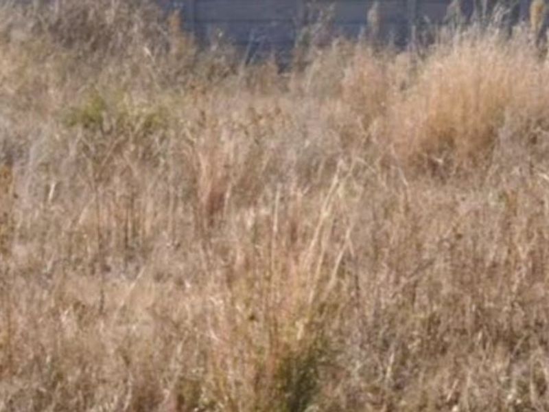 Vacant Land For Sale In Stilfontein - Photo 2