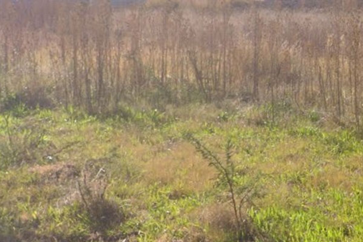 Vacant Land For Sale In Stilfontein - Photo 3