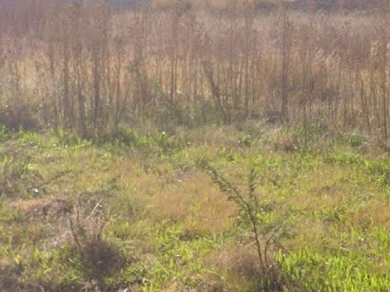 Vacant Land For Sale In Stilfontein - Photo 3