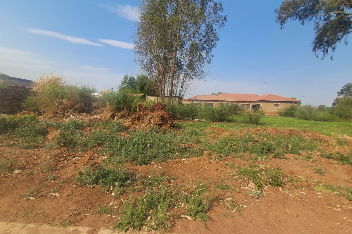 A vacant residential plot featuring natural vegetation, mature trees, and an existing boundary wall, offering a blank canvas for development.