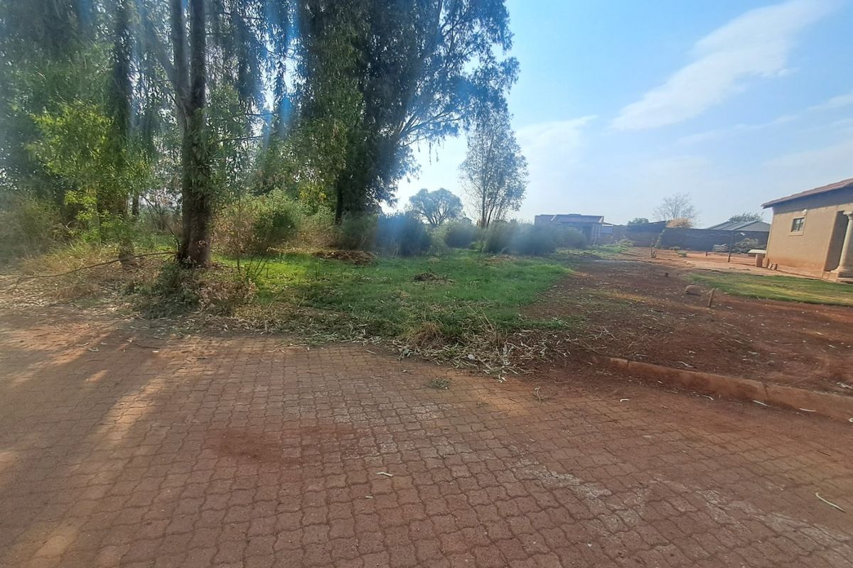 A view of the front of the vacant residential land featuring a paved driveway, established trees, and open grass area.