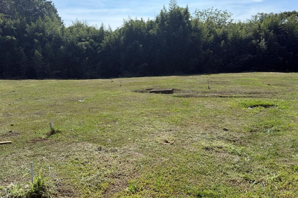 Vacant Plots for Sale – Lincoln Meade - Photo 3