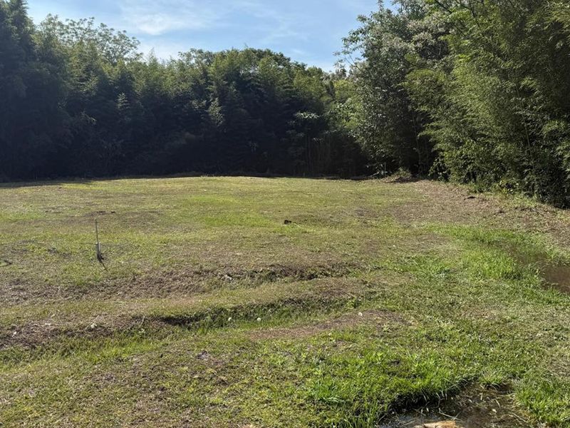 Vacant Plots for Sale – Lincoln Meade - Photo 7