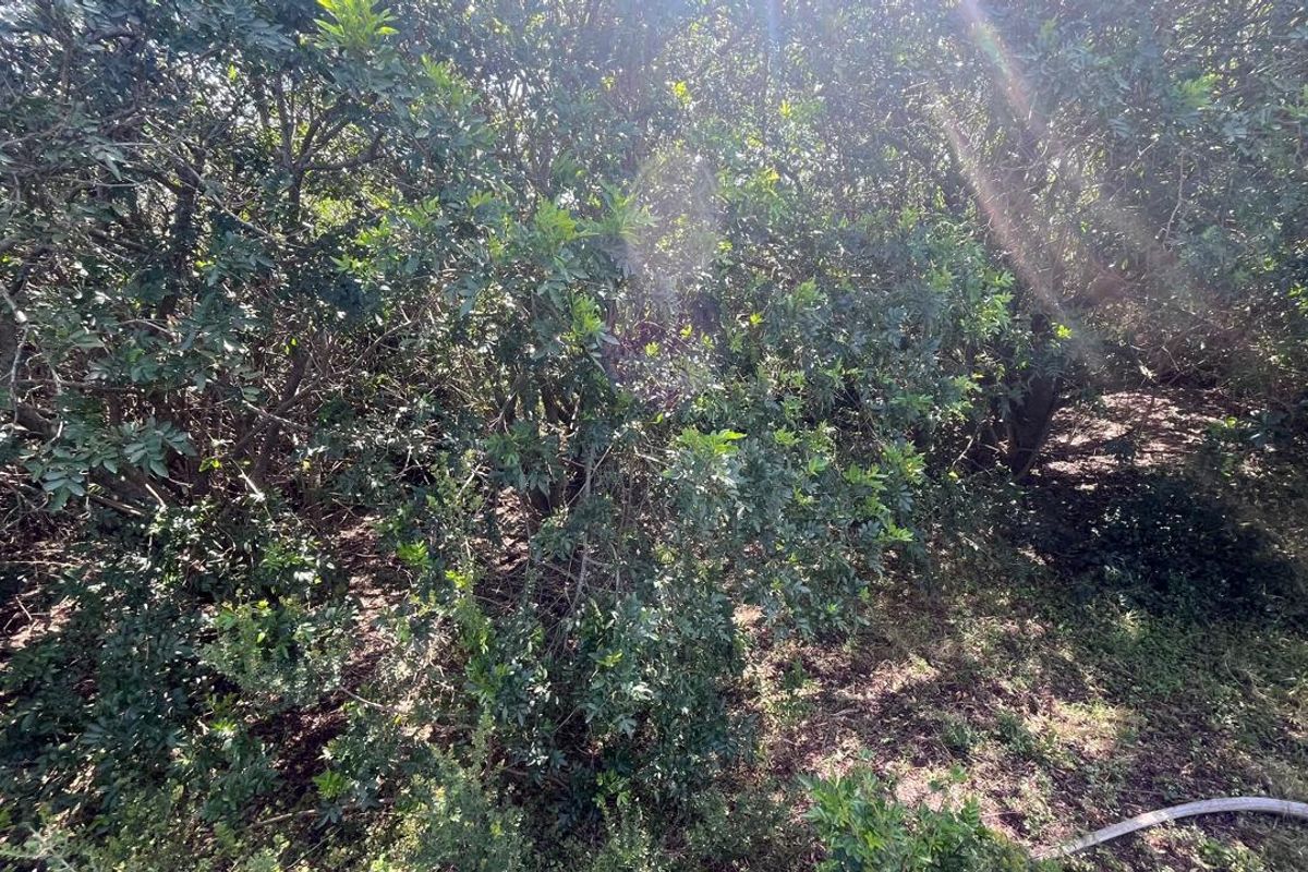 Vacant Land for Sale in Paradise Beach  Prime Coastal Opportunity - Photo 2