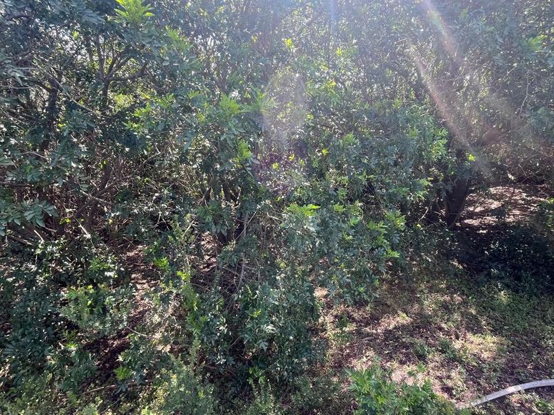 Vacant Land for Sale in Paradise Beach  Prime Coastal Opportunity - Photo 2