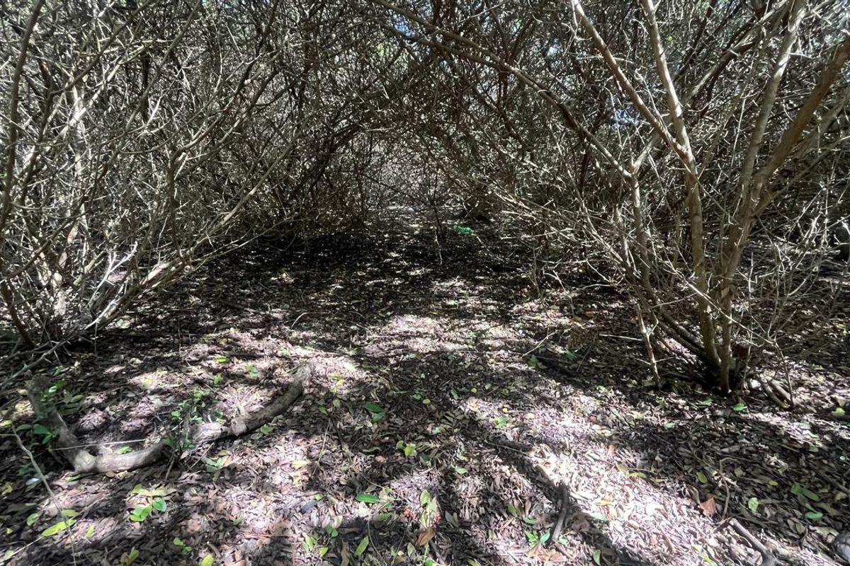 Vacant Land for Sale in Paradise Beach  Prime Coastal Opportunity - Photo 5