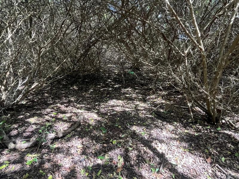 Vacant Land for Sale in Paradise Beach  Prime Coastal Opportunity - Photo 5