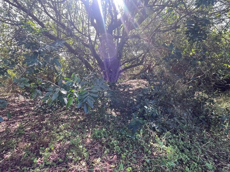 Vacant Land for Sale in Paradise Beach  Prime Coastal Opportunity - Photo 10