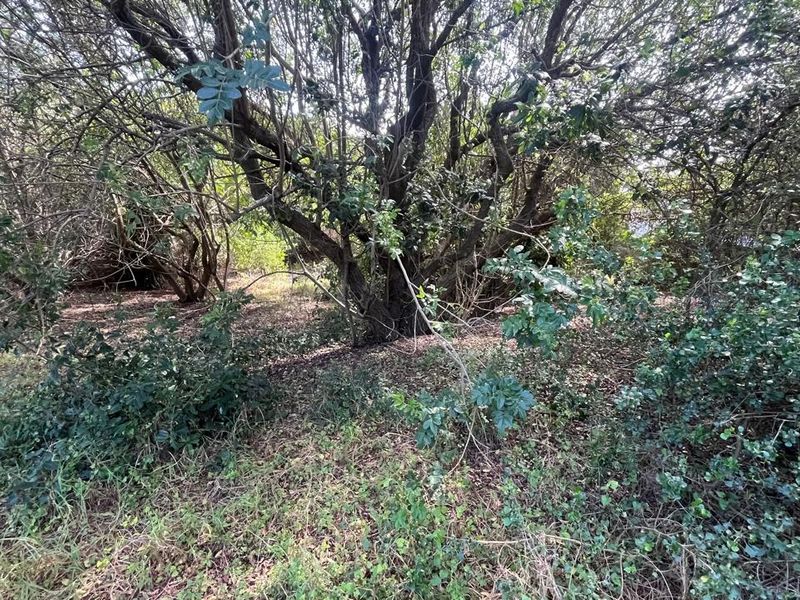 Vacant Land for Sale in Paradise Beach  Prime Coastal Opportunity - Photo 7