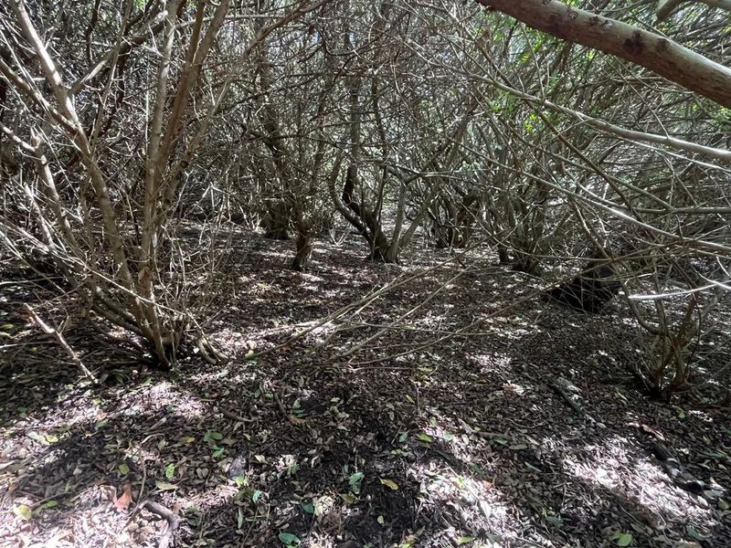 Vacant Land for Sale in Paradise Beach  Prime Coastal Opportunity - Photo 6