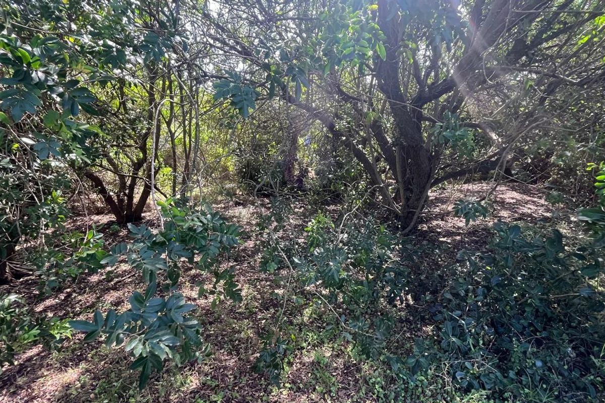 Vacant Land for Sale in Paradise Beach  Prime Coastal Opportunity - Photo 3