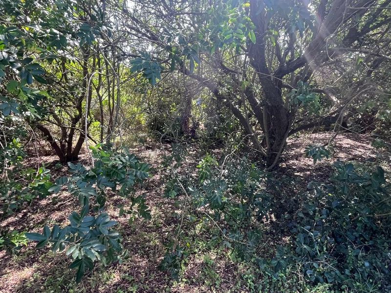 Vacant Land for Sale in Paradise Beach  Prime Coastal Opportunity - Photo 3