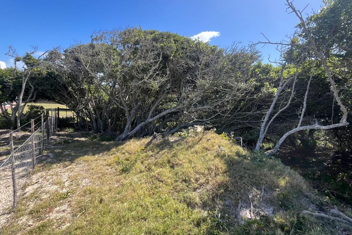 Vacant Land for Sale in Paradise Beach - Photo 5