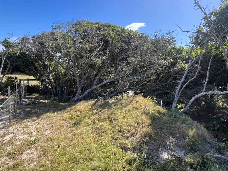 Vacant Land for Sale in Paradise Beach - Photo 5