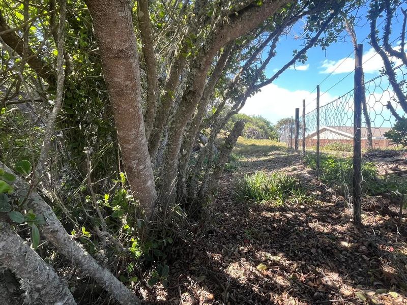 Vacant Land for Sale in Paradise Beach - Photo 8