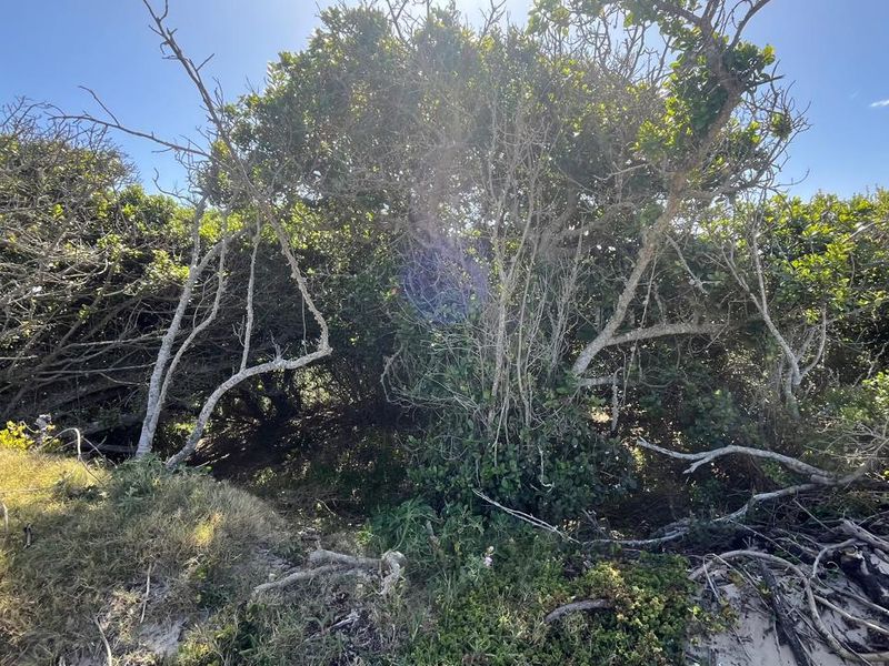 Vacant Land for Sale in Paradise Beach - Photo 7