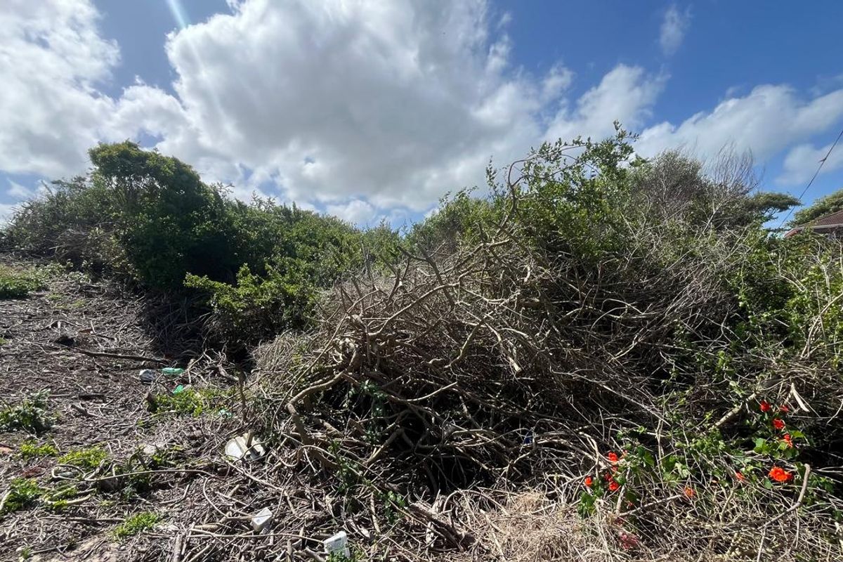 Prime Coastal Opportunity For Sale Paradise Beach  - Photo 5