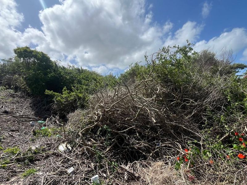 Prime Coastal Opportunity For Sale Paradise Beach  - Photo 5