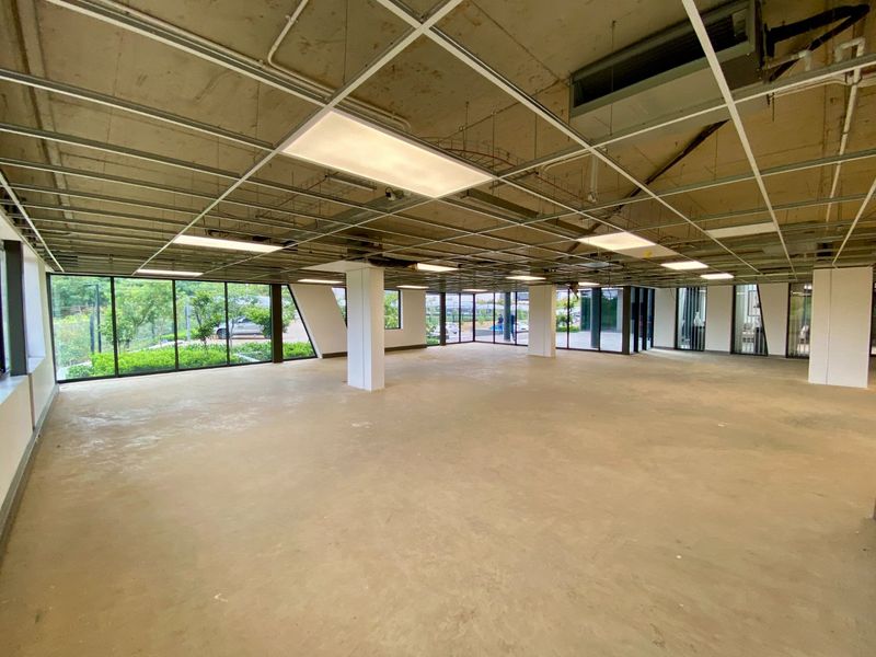 Brand New P-Grade Office Space - Photo 4