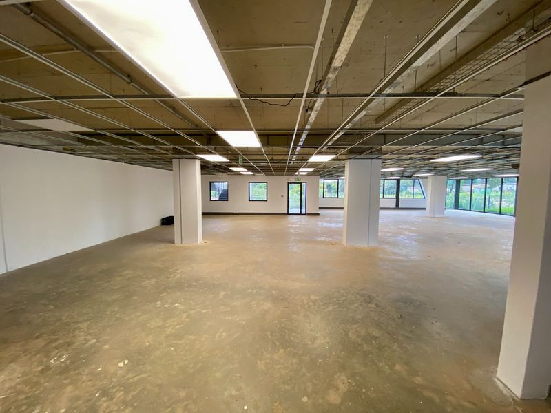 Brand New P-Grade Office Space - Photo 10