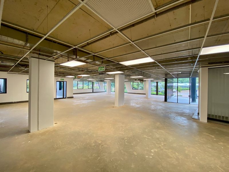 Brand New P-Grade Office Space - Photo 8