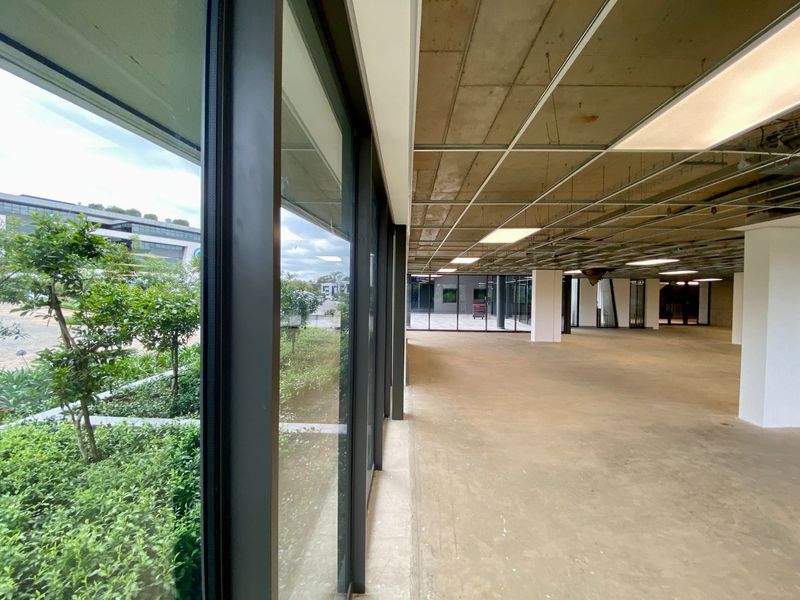 Brand New P-Grade Office Space - Photo 9