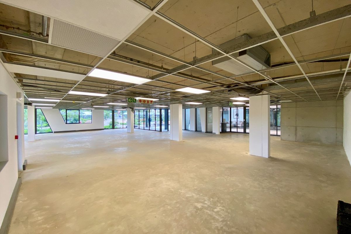 Brand New P-Grade Office Space - Photo 5