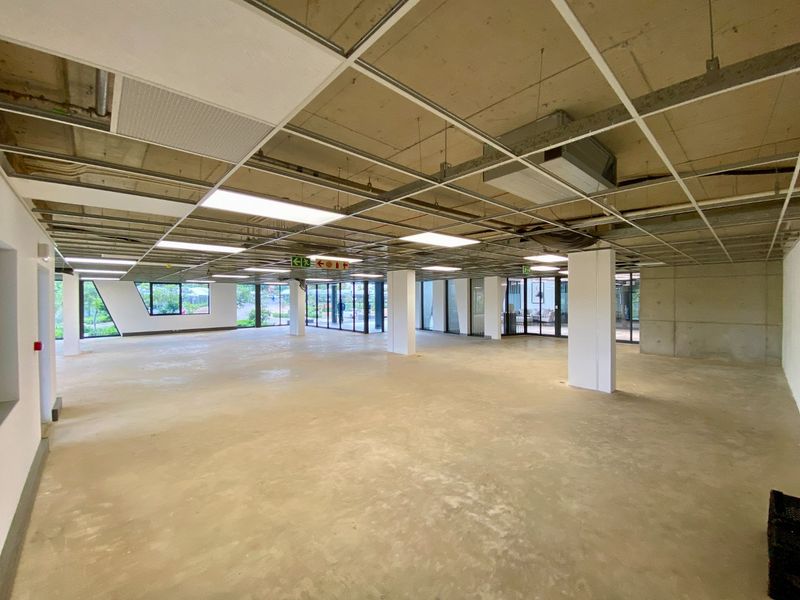 Brand New P-Grade Office Space - Photo 5