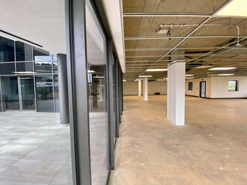Brand New P-Grade Office Space - Photo 8