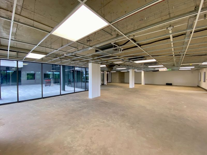 Brand New P-Grade Office Space - Photo 6
