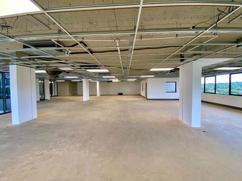 Brand New P-Grade Office Space - Photo 9