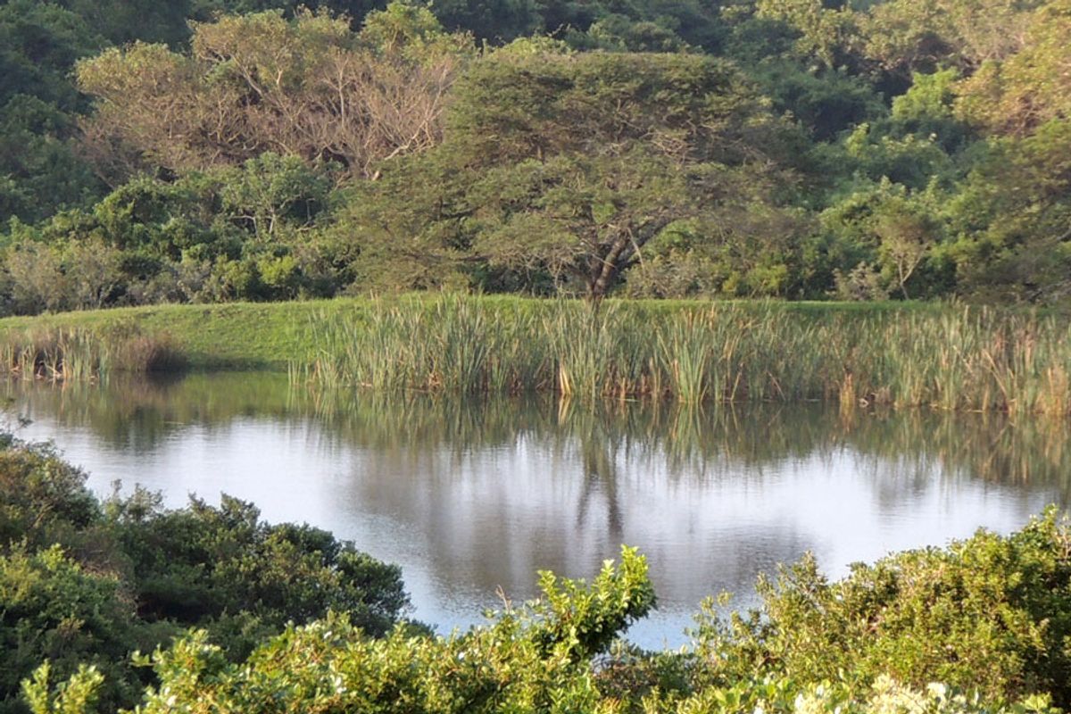 Build Your Dream Home in Coastal Paradise – Khamanga Bay - Photo 4