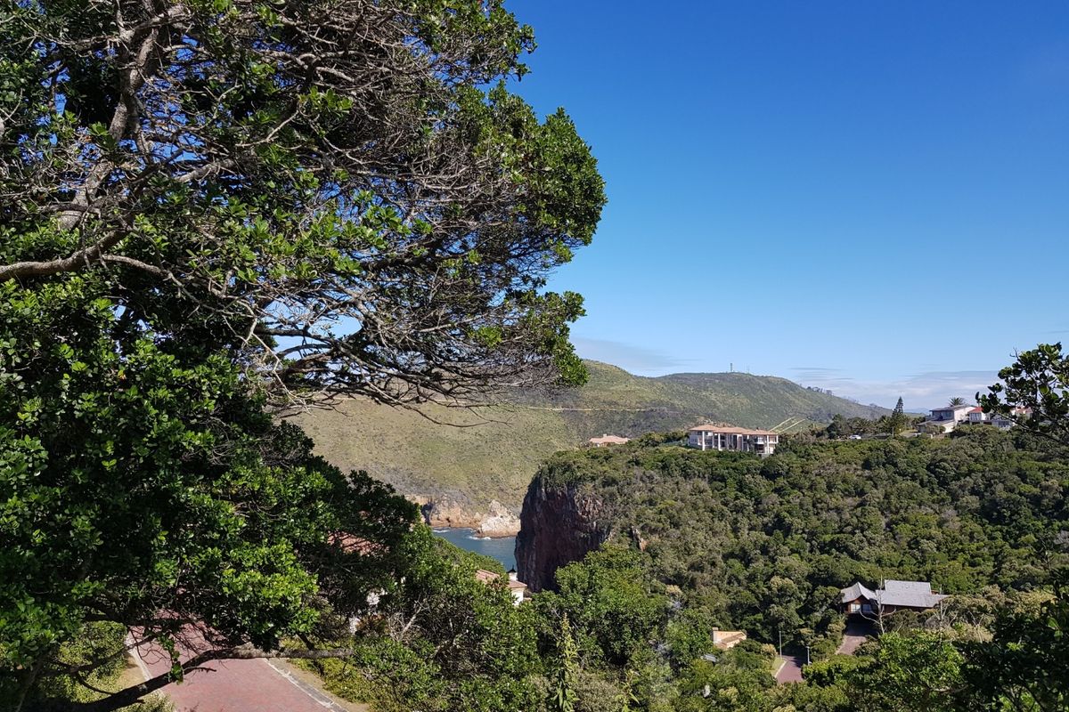 Knysna Heads plot with views to the Heads entrance - Photo 3