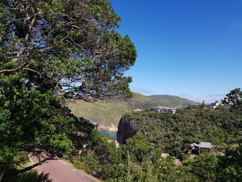 Knysna Heads plot with views to the Heads entrance - Photo 3