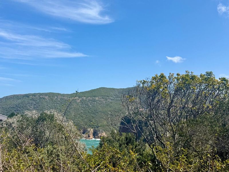 Knysna Heads plot with views to the Heads entrance - Photo 7