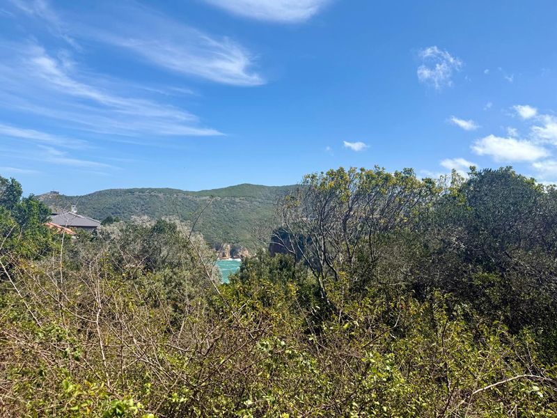 Knysna Heads plot with views to the Heads entrance - Photo 6
