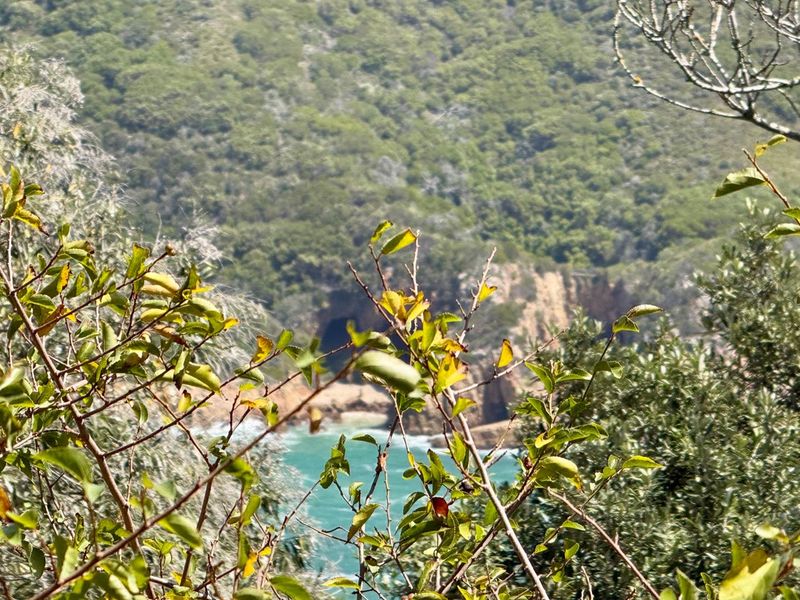 Knysna Heads plot with views to the Heads entrance - Photo 8