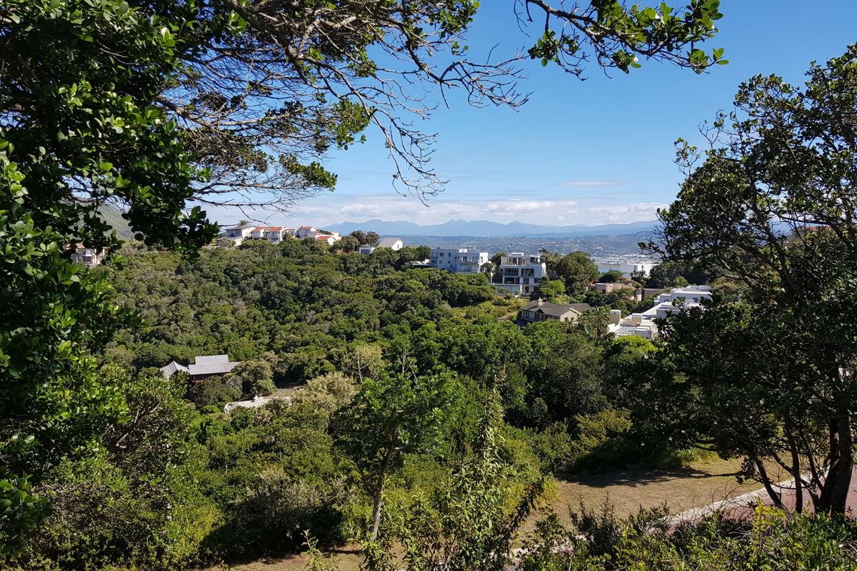Knysna Heads plot with views to the Heads entrance - Photo 2