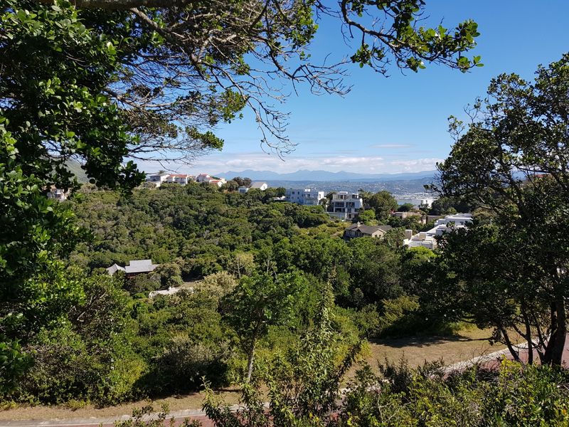 Knysna Heads plot with views to the Heads entrance - Photo 2