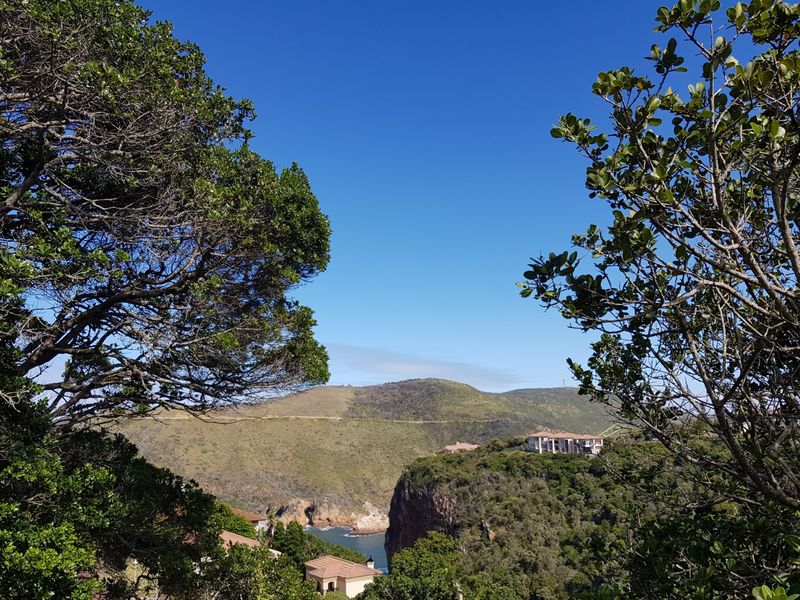 Knysna Heads plot with views to the Heads entrance - Photo 4