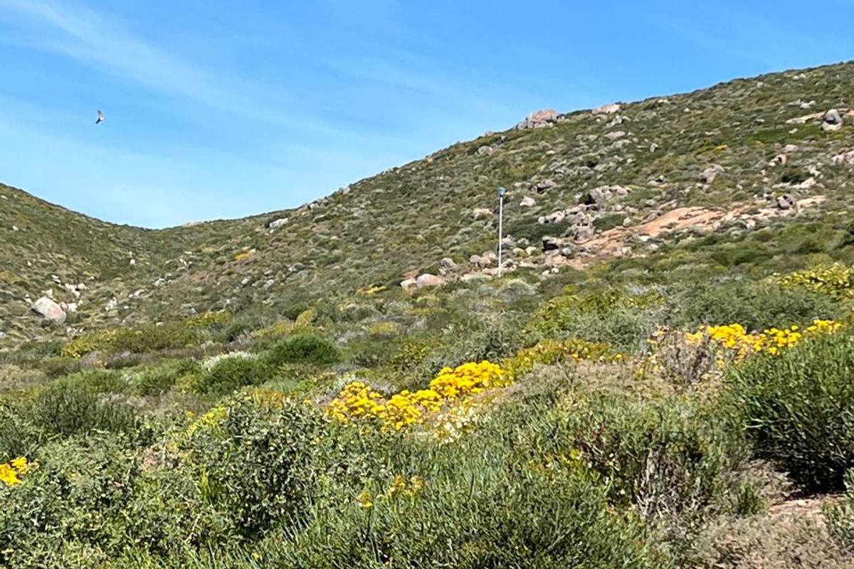 A view of the natural, undeveloped residential land featuring native vegetation and rocky hillside terrain under a clear blue sky.