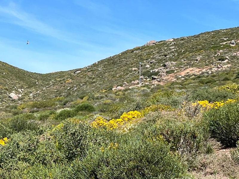A view of the natural, undeveloped residential land featuring native vegetation and rocky hillside terrain under a clear blue sky.