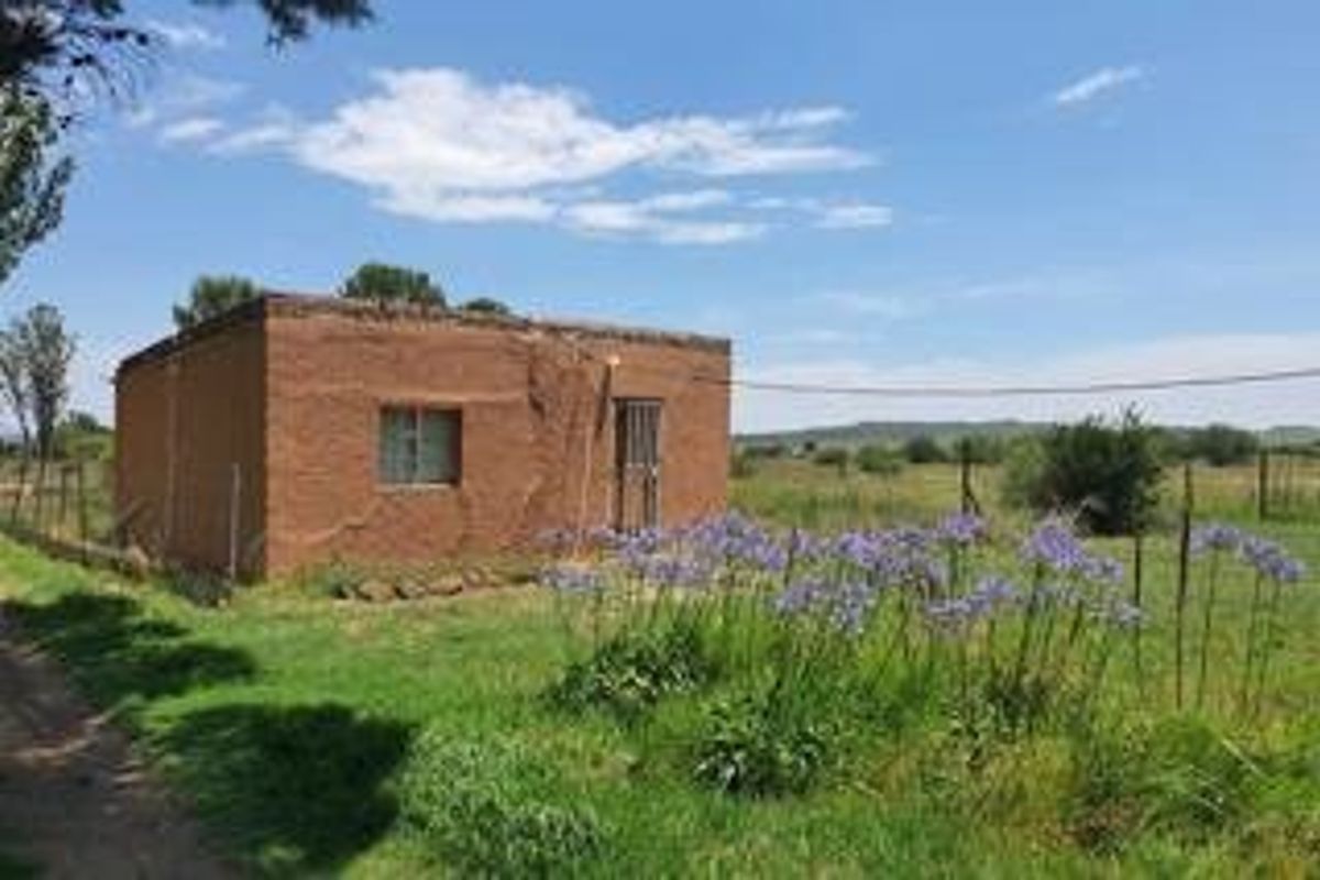 Charming Home with Flatlet on Tree-Filled Plot – Ideal for Peaceful Living Near the City - Photo 4