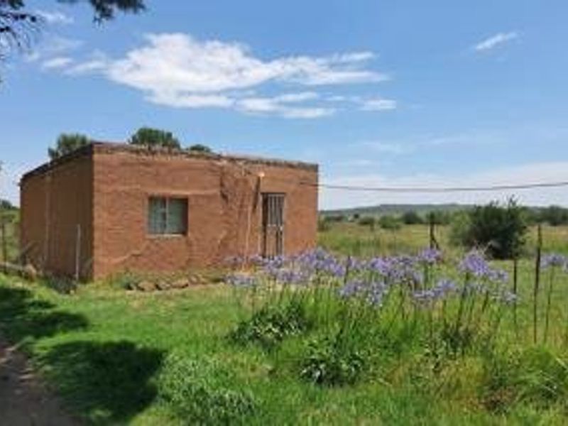 Charming Home with Flatlet on Tree-Filled Plot – Ideal for Peaceful Living Near the City - Photo 4