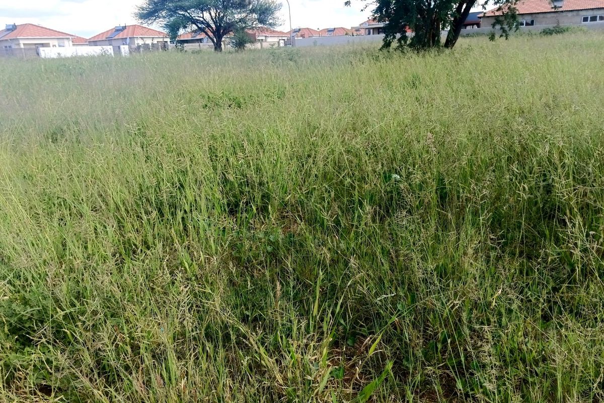 Vacant Land Available - Photo 4