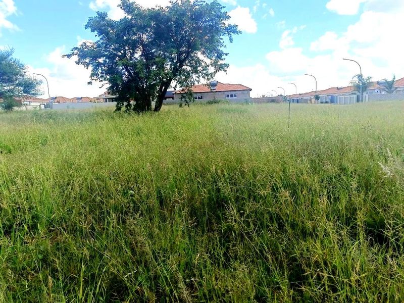Vacant Land Available - Photo 8