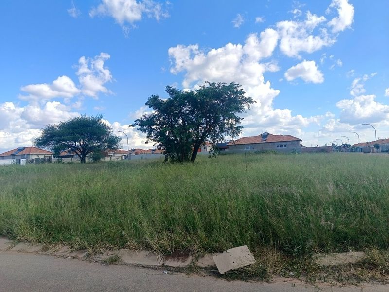 A vacant residential plot of land featuring established trees and grass, situated in a developed neighbourhood with street access.