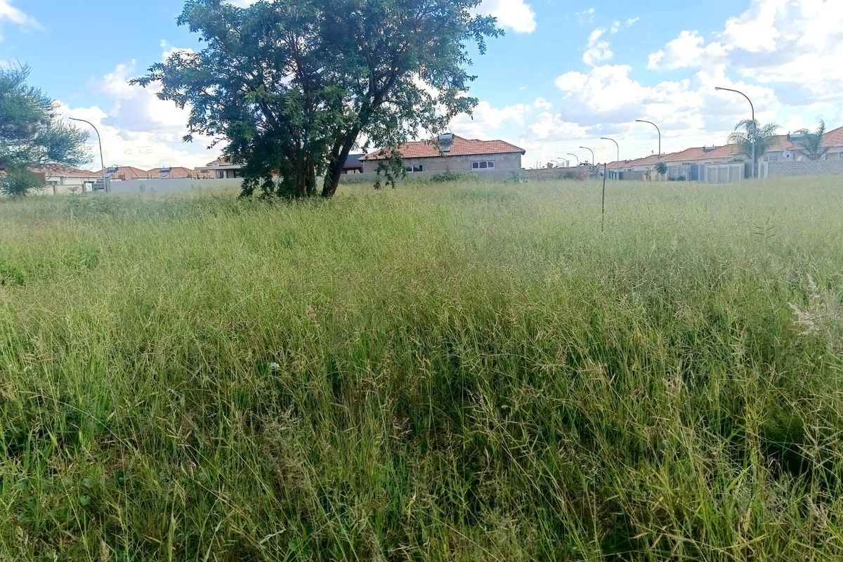 A vacant residential plot featuring natural grassland and a mature tree, situated within an established neighborhood setting.