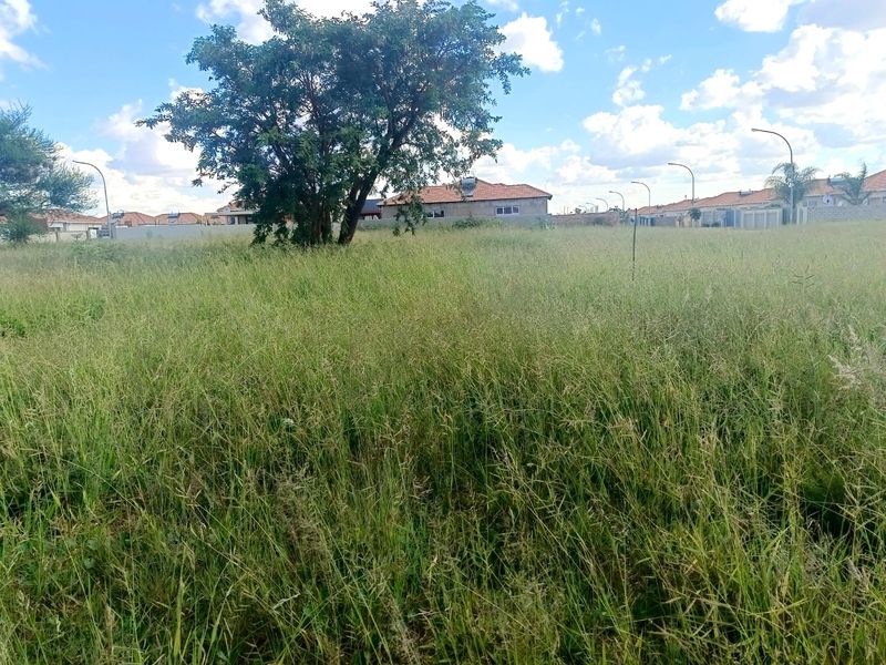 A vacant residential plot featuring natural grassland and a mature tree, situated within an established neighborhood setting.