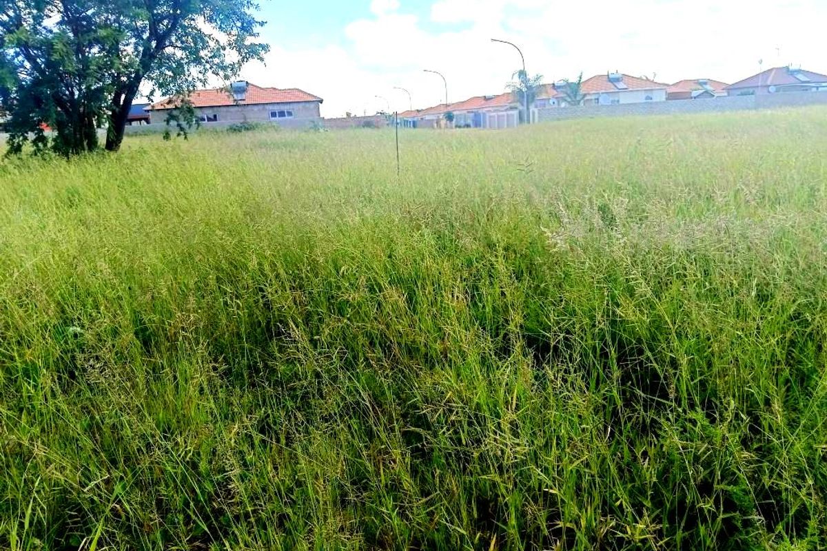 A view of a vacant residential plot covered in tall grass with surrounding neighborhood houses visible in the background.